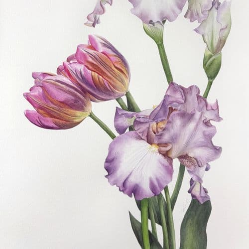 Iris and tulips